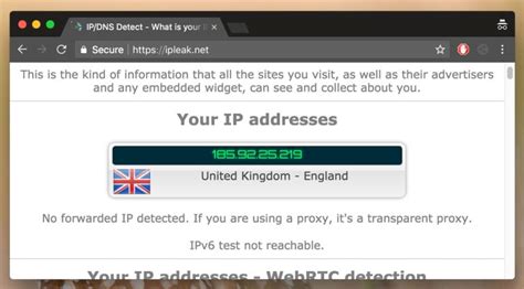 ipleak|VPN Leak Testing Tool 